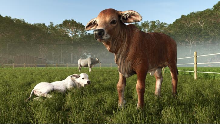 Farming Simulator 25 - Beans & Alpacas Expansion Steam Key screenshot from the video game thumbnail 7