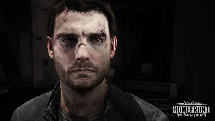 Homefront®: The Revolution - Aftermath image
