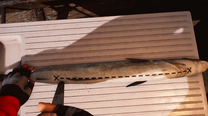 Fishing: Barents Sea image