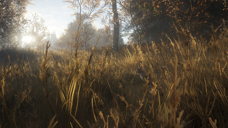 theHunter: Call of the Wild™ image