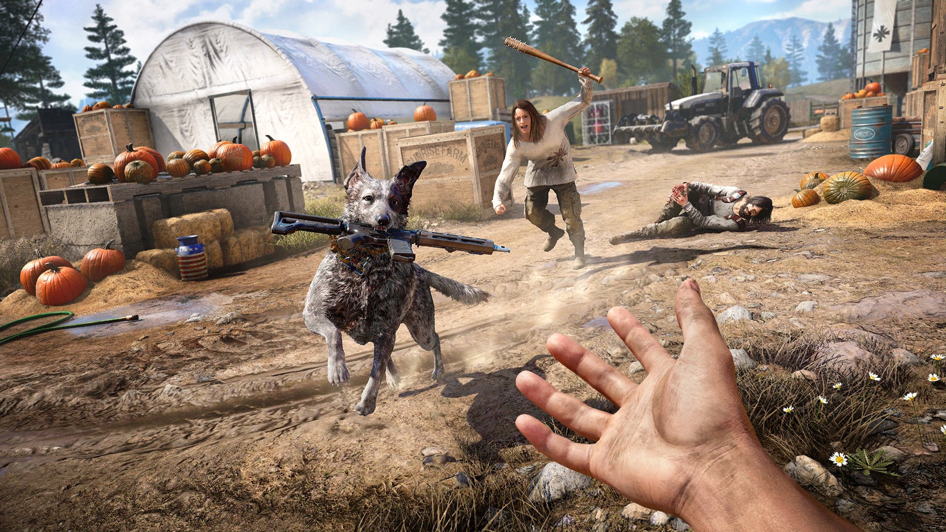 Far Cry® 5 game image