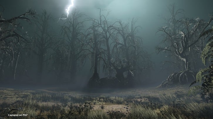 HELLDIVERS™ 2 image