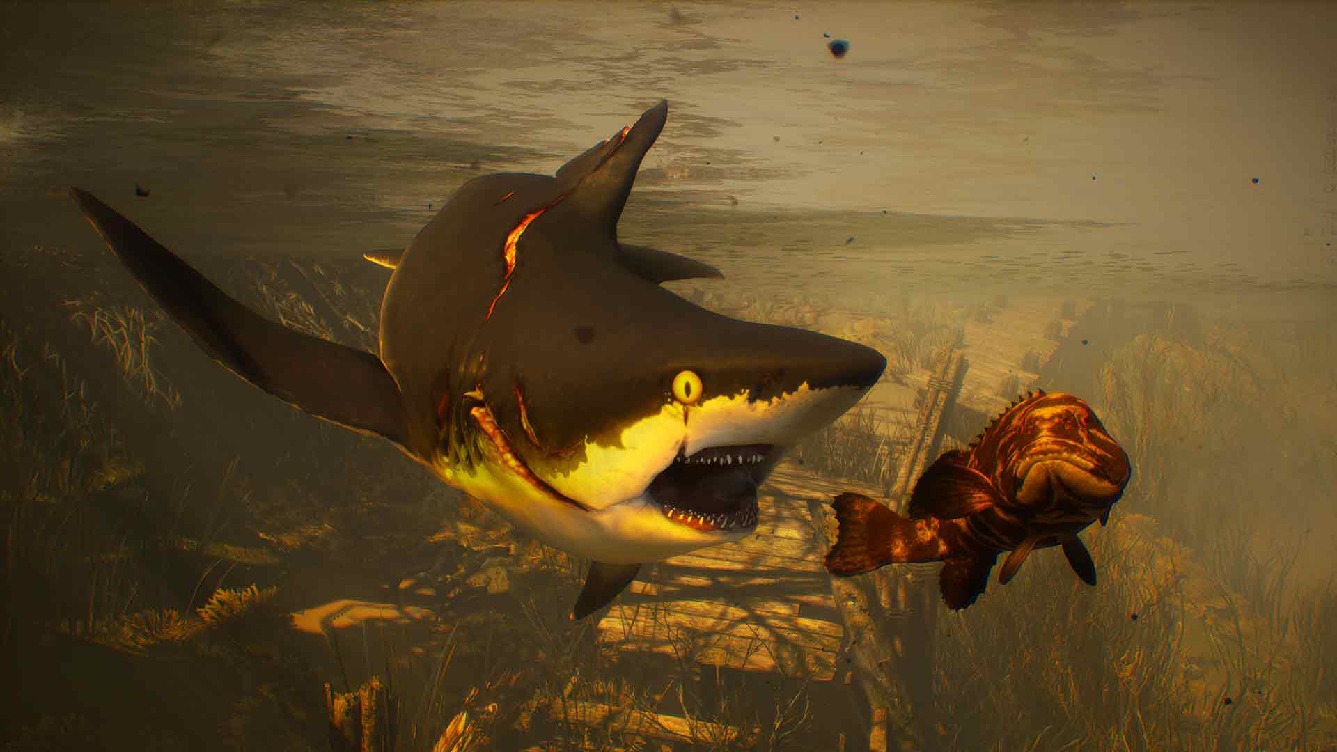 Maneater (Epic) image