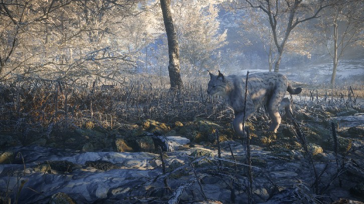 theHunter: Call of the Wild™ - Medved-Taiga image