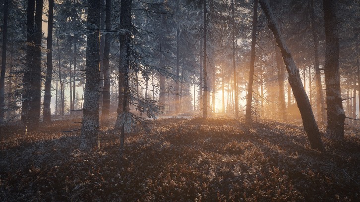theHunter: Call of the Wild™ - Medved-Taiga image
