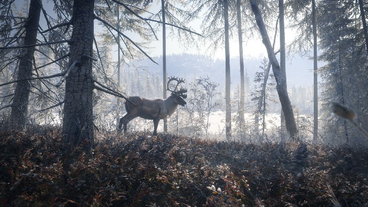theHunter: Call of the Wild™ - Medved-Taiga image