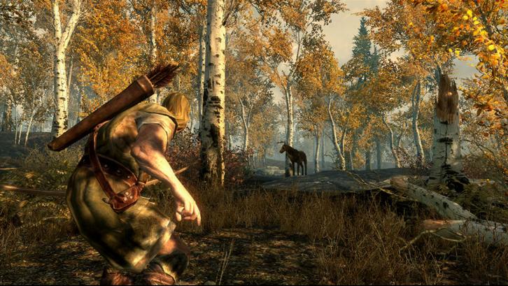 The Elder Scrolls V: Skyrim image