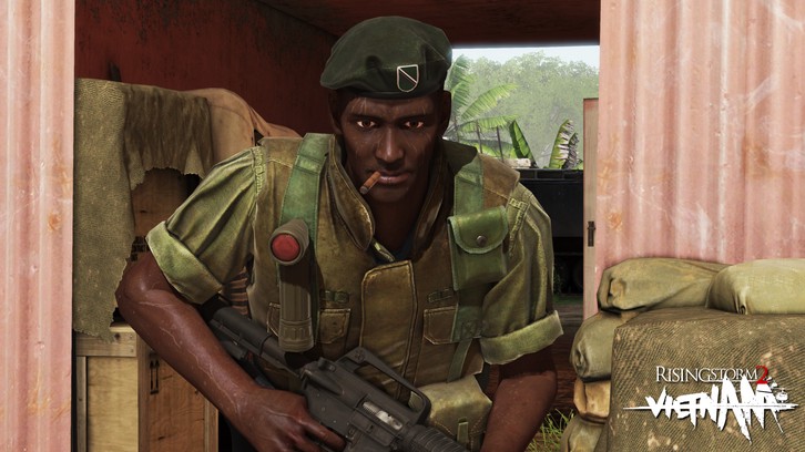 Rising Storm 2: Vietnam - Pulling Rank Cosmetic DLC image