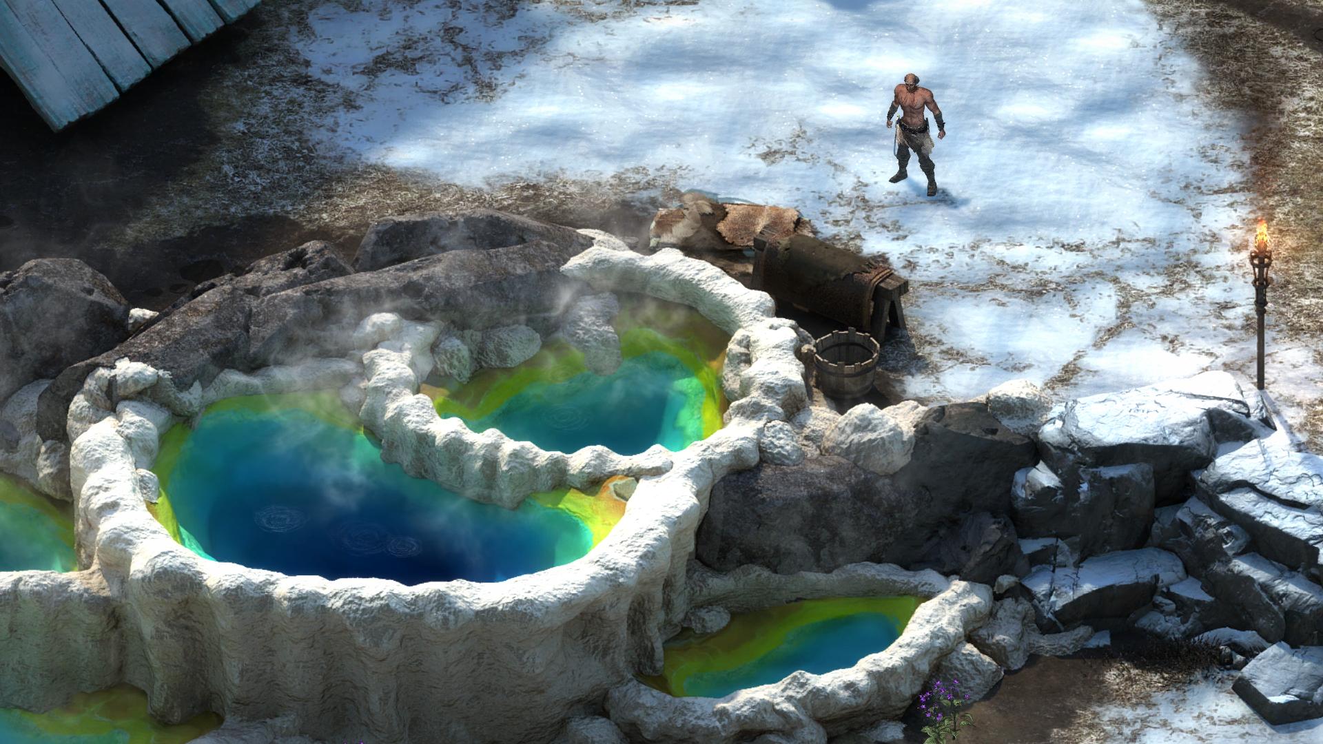 Pillars of Eternity - The White March Expansion Pass image