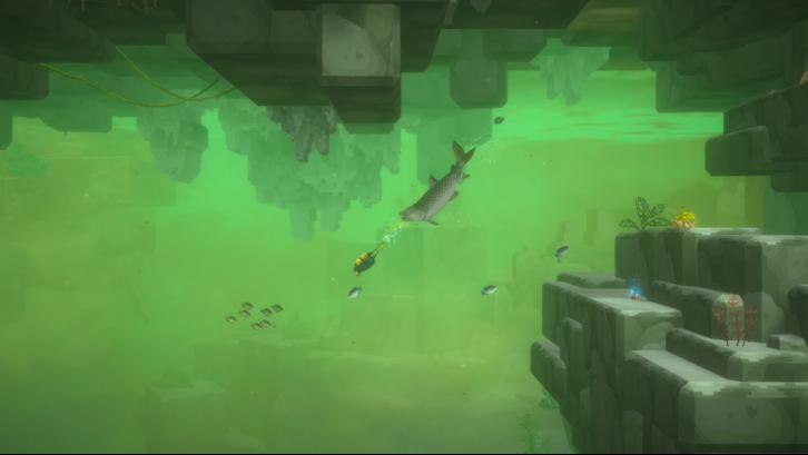 Dave & In the Jungle Bundle Steam Key screenshot from the video game thumbnail 7
