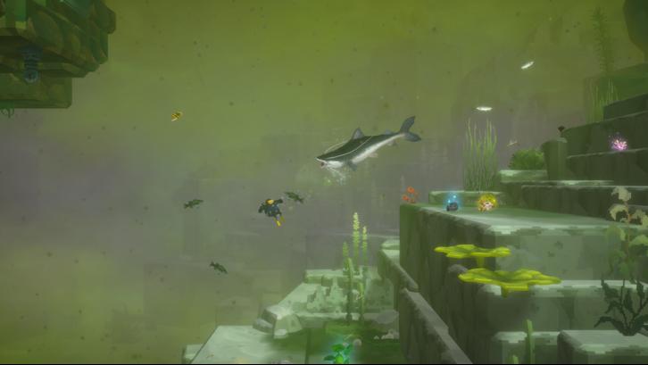 Dave & In the Jungle Bundle Steam Key screenshot from the video game thumbnail 8