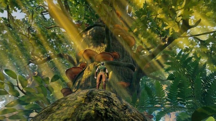 Smalland: Survive the Wilds image