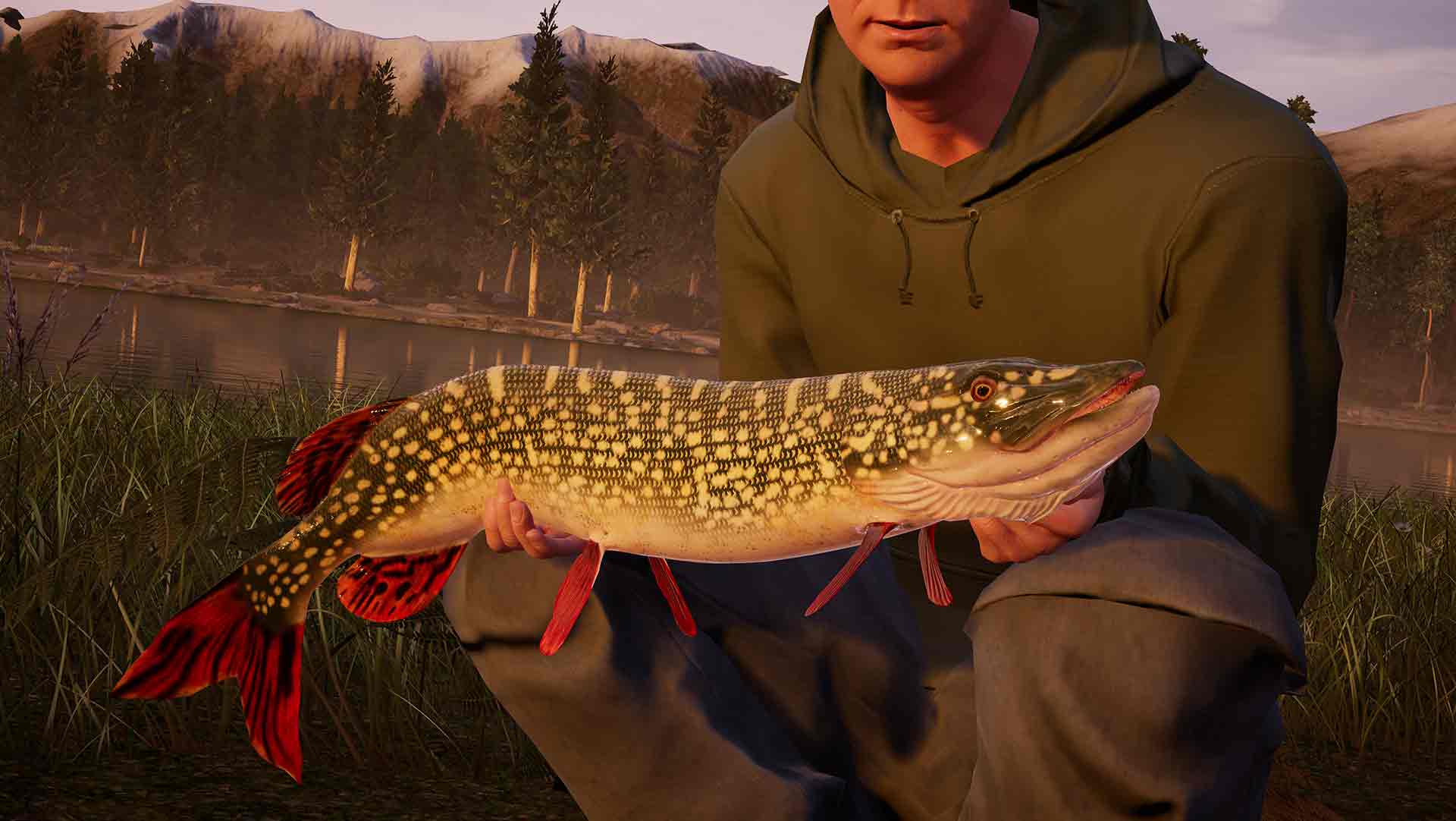 Fishing Sim World Pro Tour Gameplay
