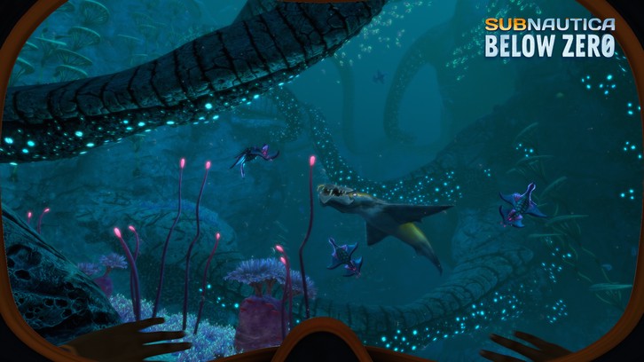 Subnautica: Below Zero image