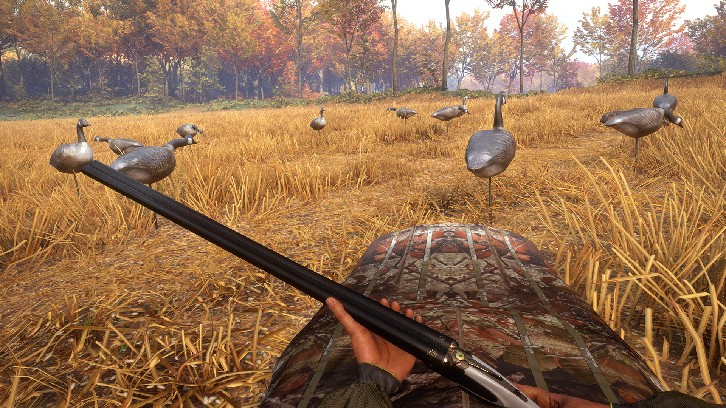 theHunter: Call of the Wild™ - Wild Goose Chase Gear image