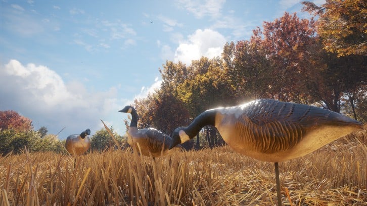 theHunter: Call of the Wild™ - Wild Goose Chase Gear image