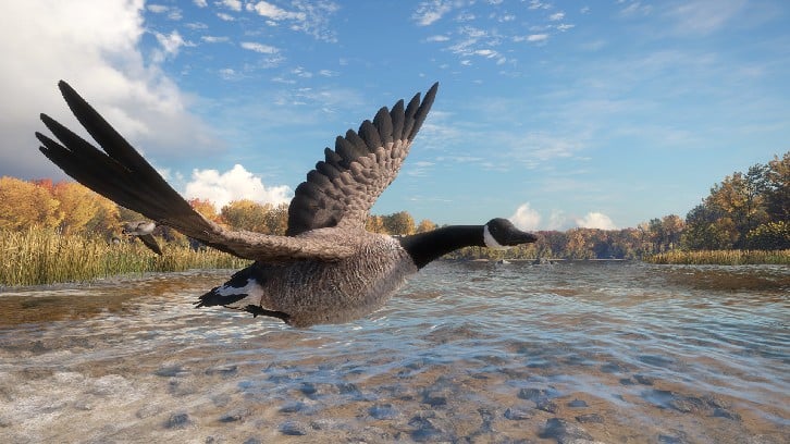 theHunter: Call of the Wild™ - Wild Goose Chase Gear image