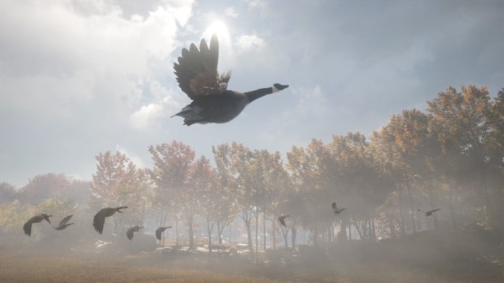 theHunter: Call of the Wild™ - Wild Goose Chase Gear image