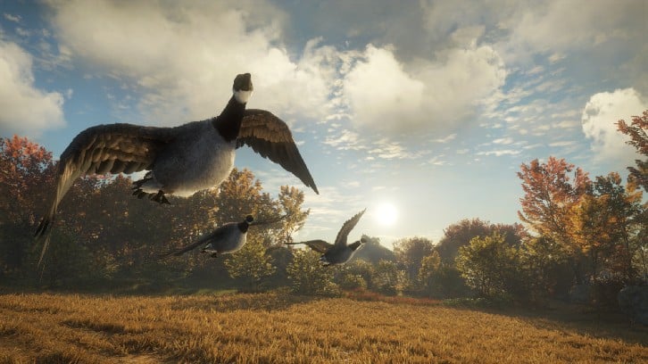 theHunter: Call of the Wild™ - Wild Goose Chase Gear image