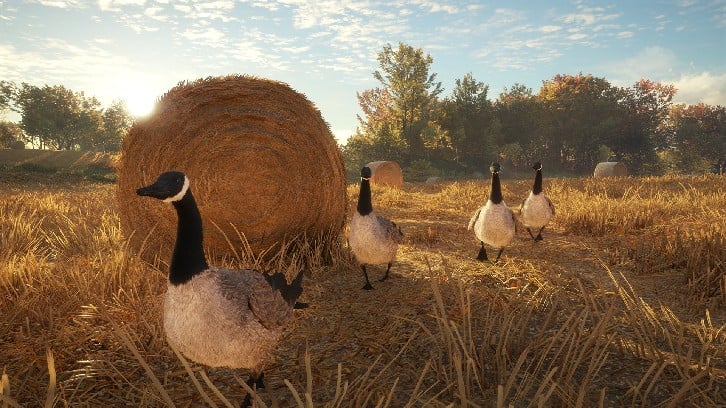 theHunter: Call of the Wild™ - Wild Goose Chase Gear image