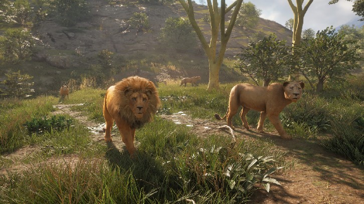 theHunter: Call of the Wild™ - Vurhonga Savanna image
