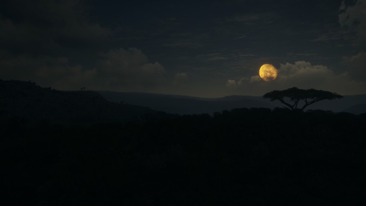 theHunter: Call of the Wild™ - Vurhonga Savanna image