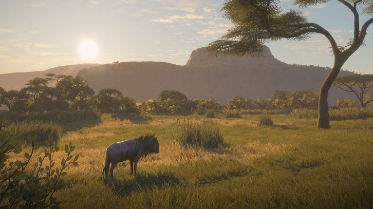 theHunter: Call of the Wild™ - Vurhonga Savanna image