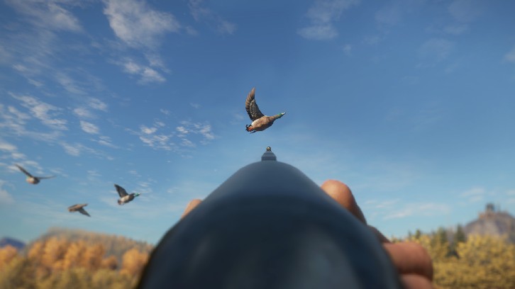 theHunter: Call of the Wild™ - Duck and Cover Pack image