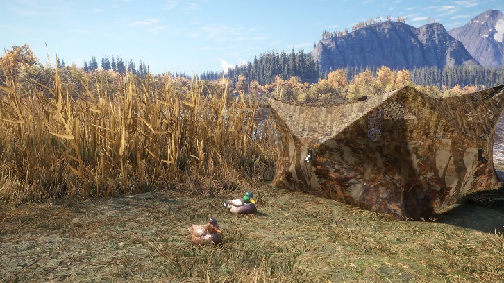 theHunter: Call of the Wild™ - Duck and Cover Pack image
