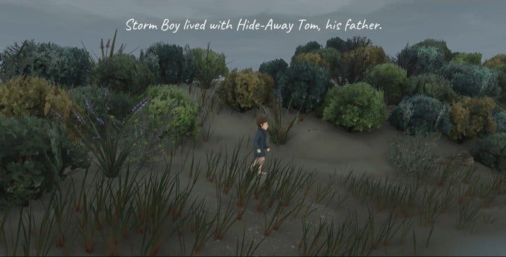 Storm Boy image