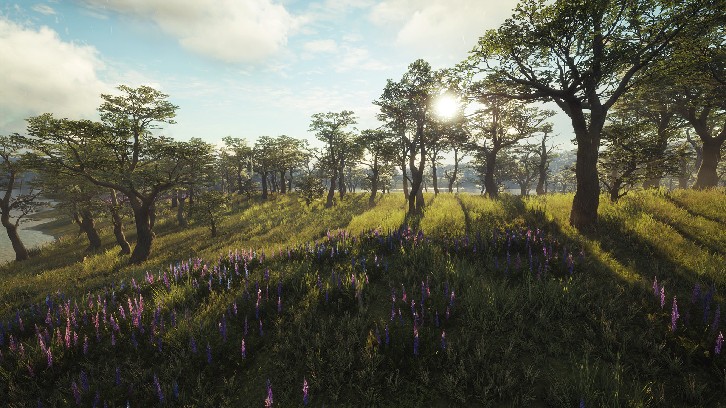 theHunter: Call of the Wild™ - Parque Fernando image