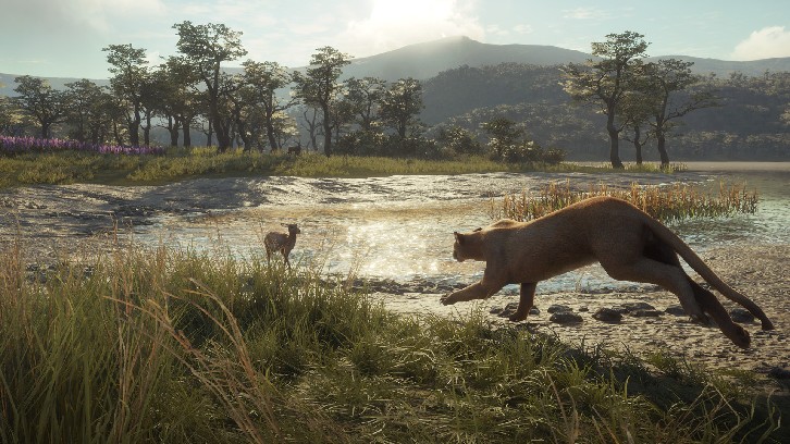 theHunter: Call of the Wild™ - Parque Fernando image
