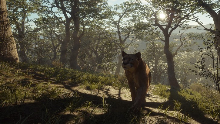 theHunter: Call of the Wild™ - Parque Fernando image