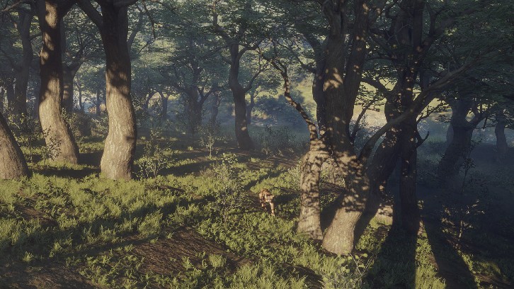 theHunter: Call of the Wild™ - Parque Fernando image