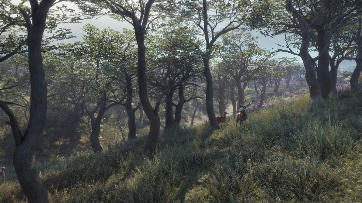 theHunter: Call of the Wild™ - Parque Fernando image