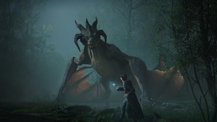 Hogwarts Legacy image