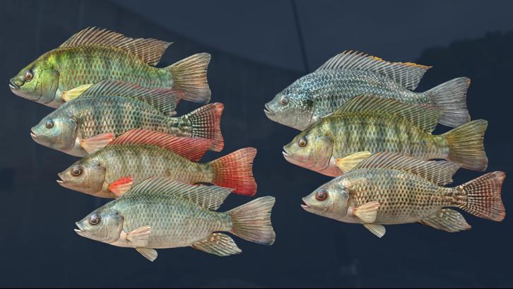 Ultimate Fishing Simulator - Kariba Dam DLC image