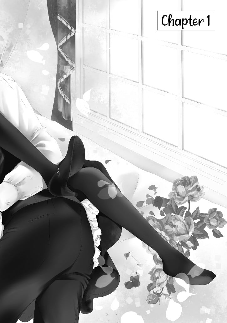 I don't like you... Mr.President! Volume 1 image