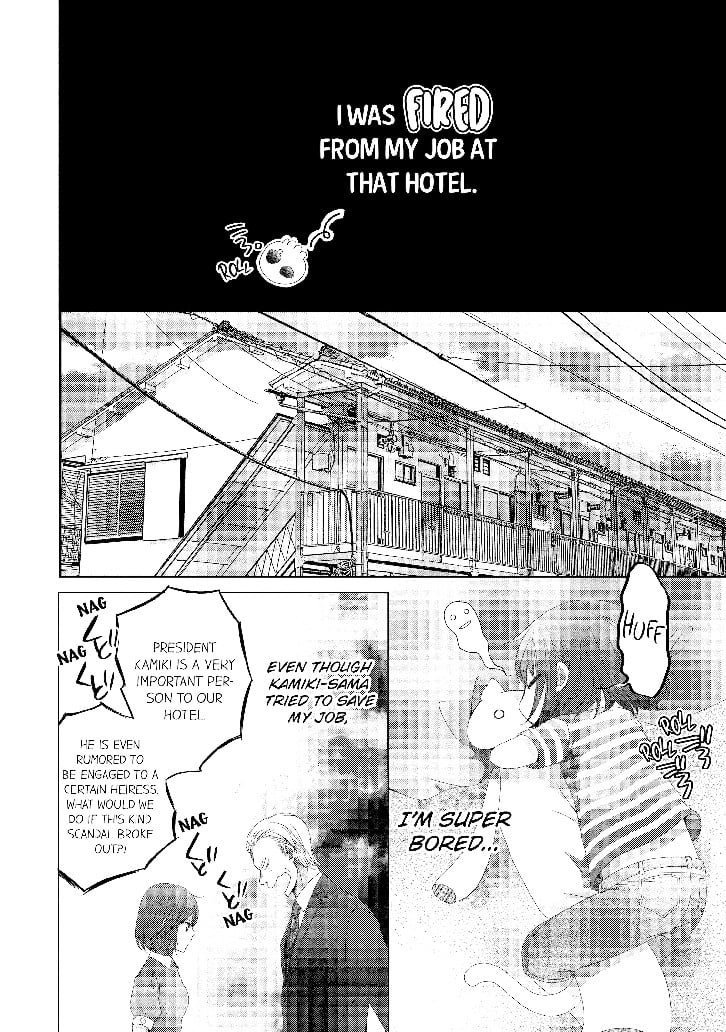 I don't like you... Mr.President! Volume 1 image