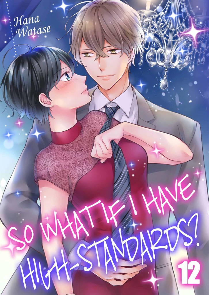 So What If I Have High-Standards? 12 image