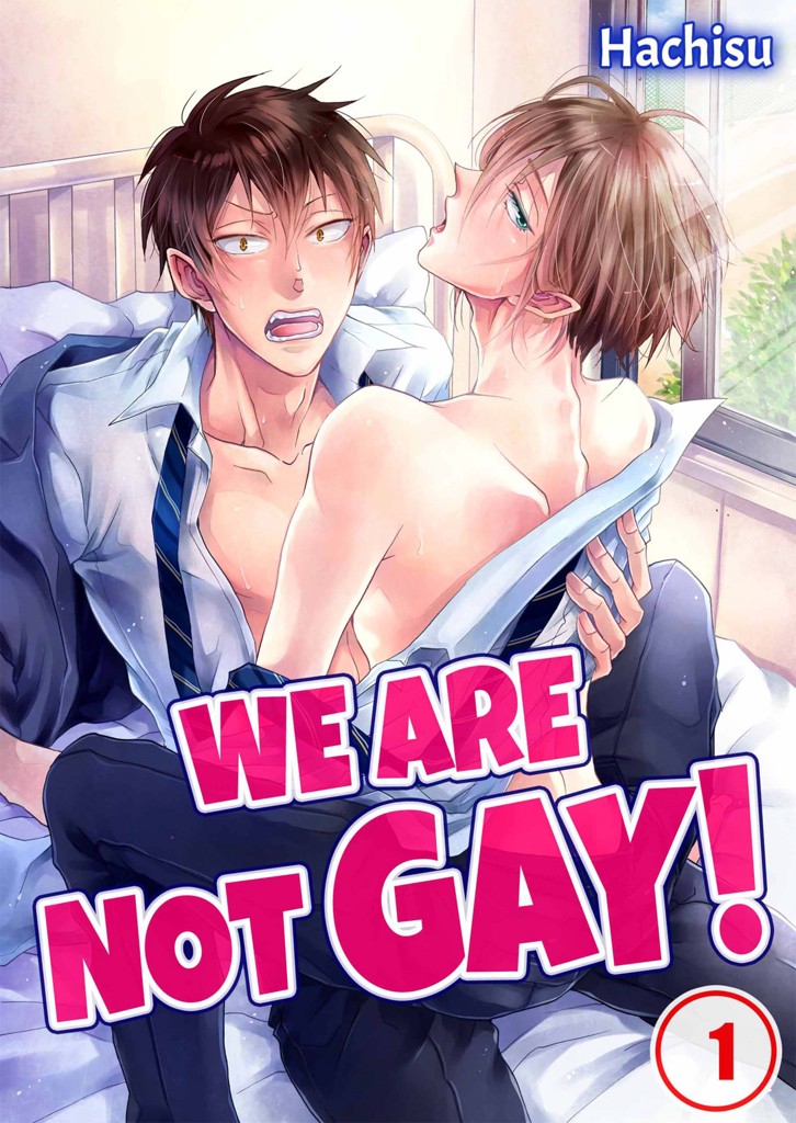WE ARE NOT GAY! 1 image