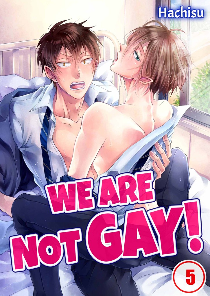 WE ARE NOT GAY! 5 image