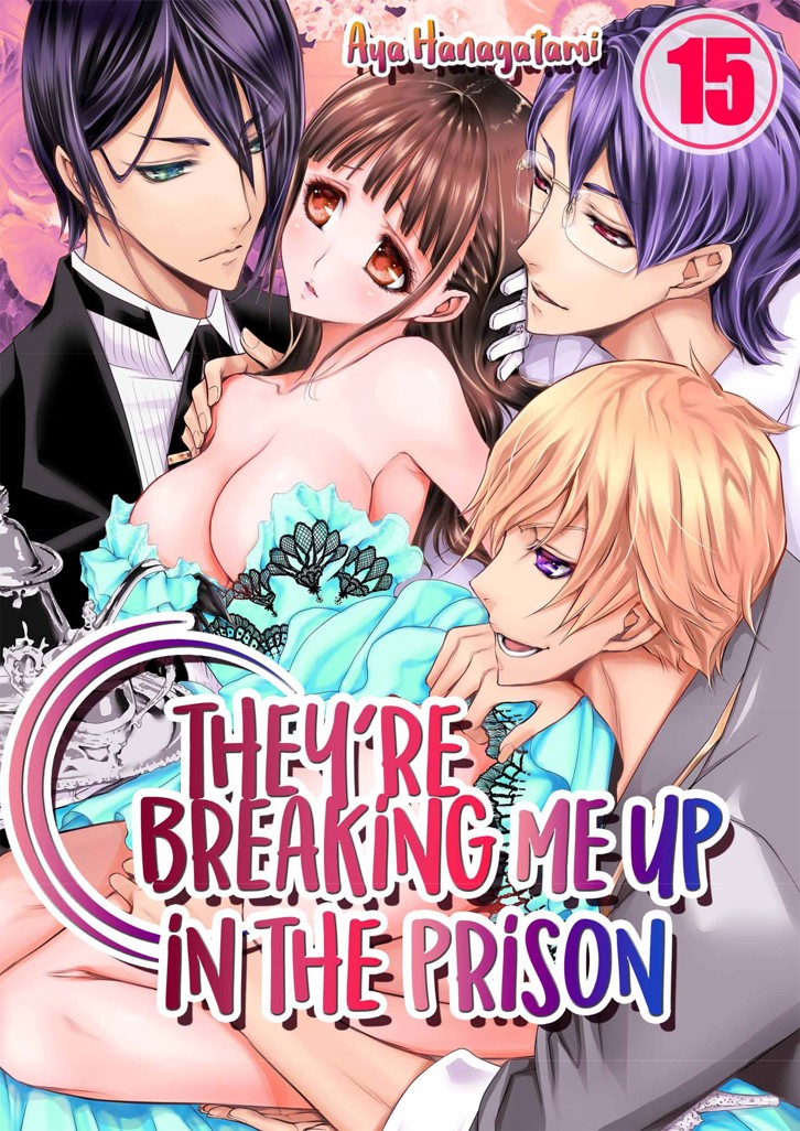 They're Breaking Me Up in the Prison 15 image